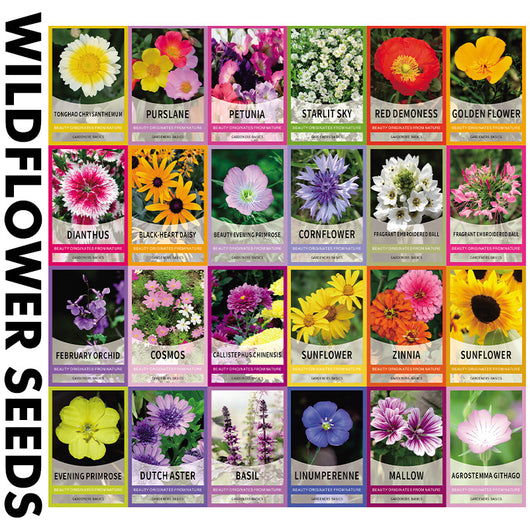 Menker Perennial Wildflower Seeds