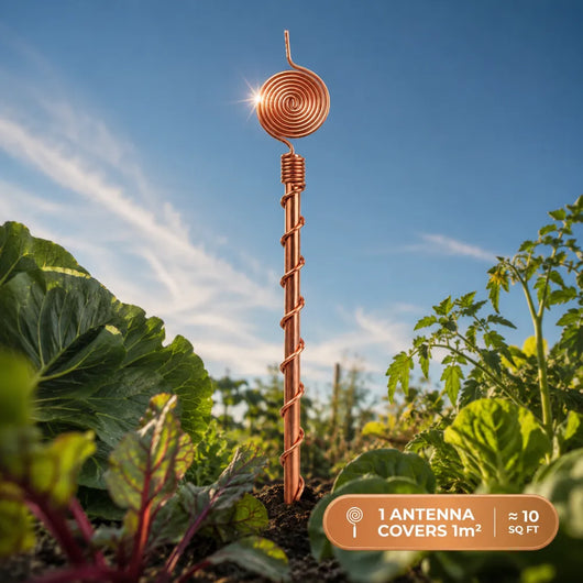 antenna placeholder