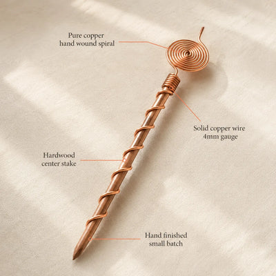 antenna placeholder