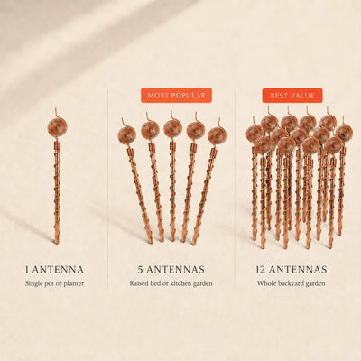 antenna placeholder